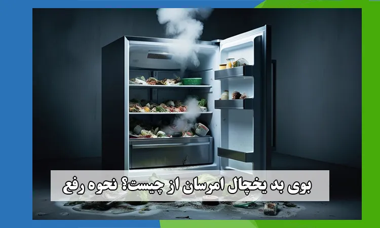 بوی بد یخچال امرسان از چیست؟ - رفع فوری بوی بد